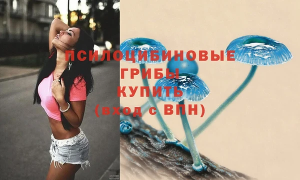 спиды Арсеньев